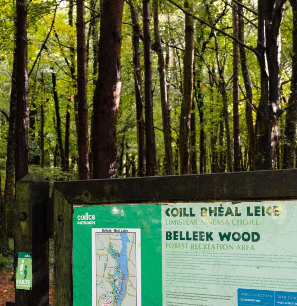 Ballina Treasure Hunt Belleek Treasure Hunt Ballina Manor Hotel