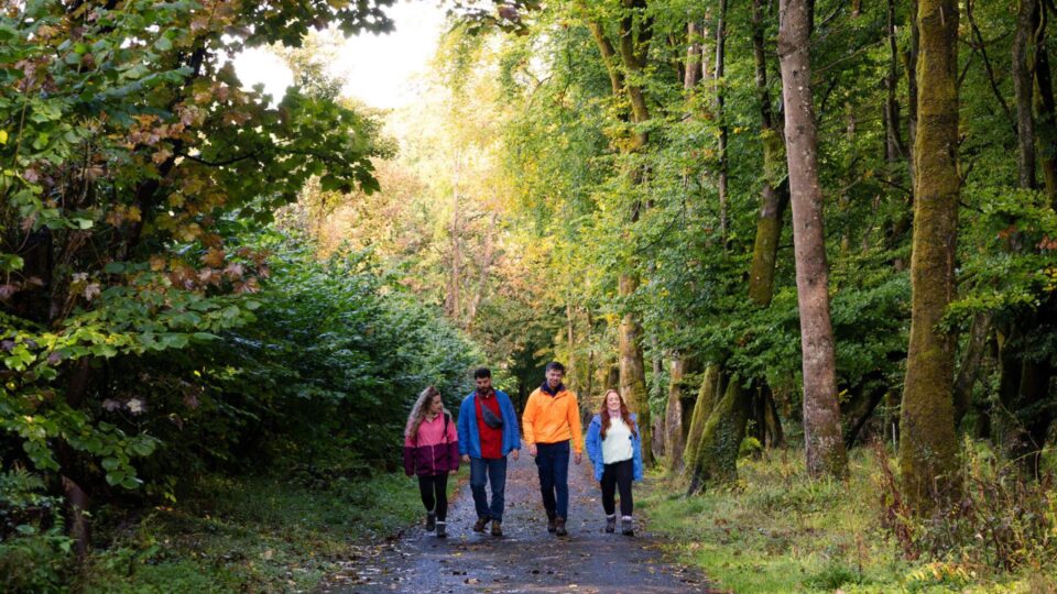Walking in Beleek Forest in Ballina