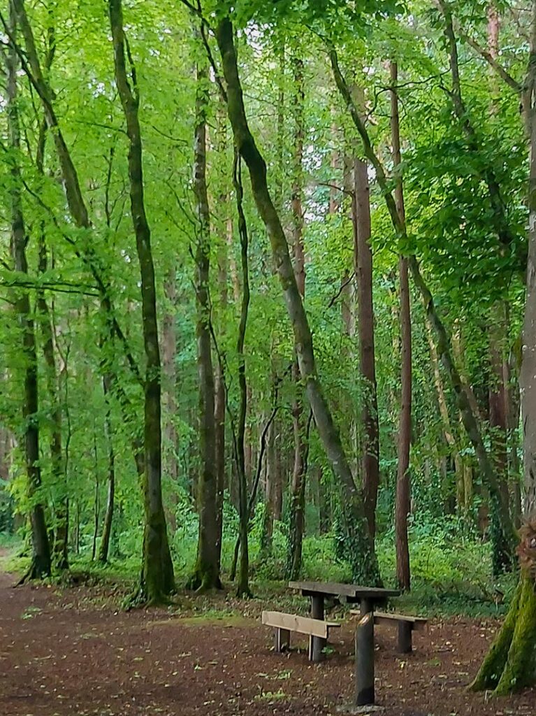 Belleek Woods Fairy Trail Belleek Woods Walk Ballina Manor Hotel