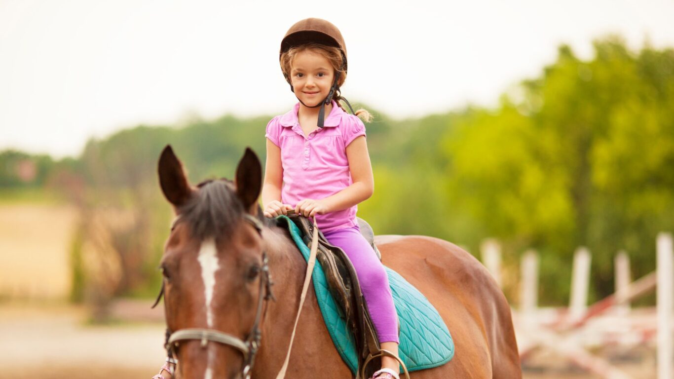 Horse Riding near Ballina