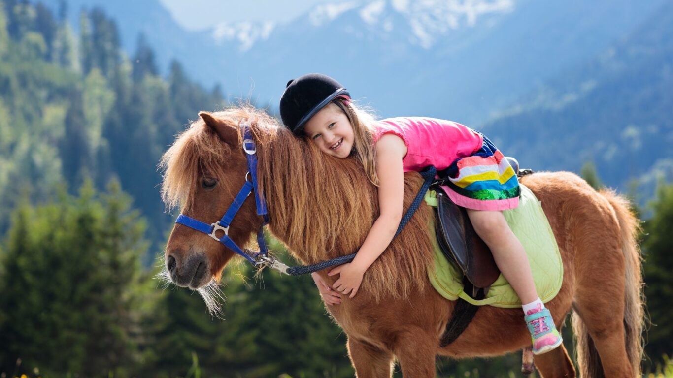 Horse Riding in Mayo